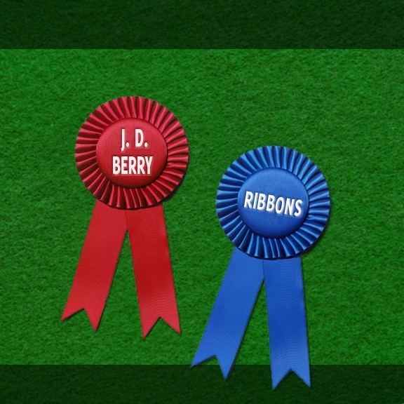 Ribbons - Details