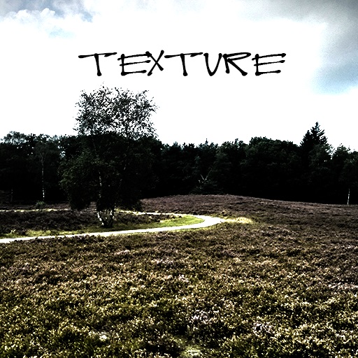 Texture - Details